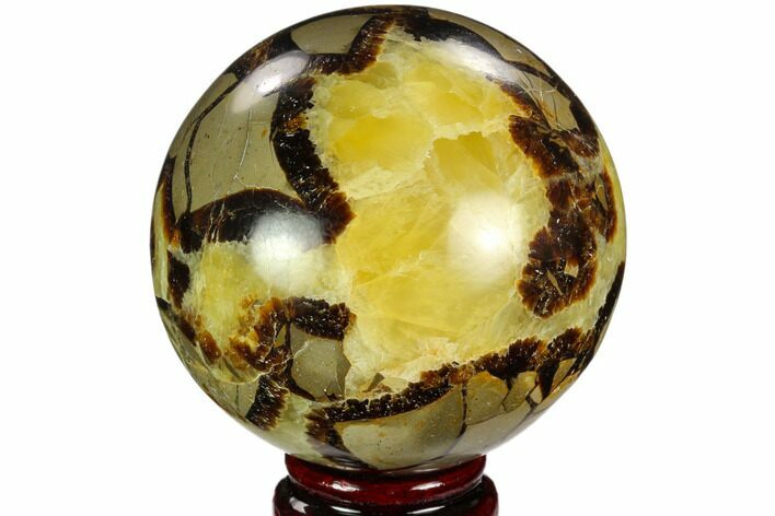 Polished Septarian Sphere - Madagascar #122926